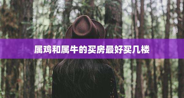 属鸡和属牛的买房最好买几楼