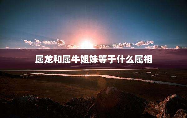 属龙和属牛姐妹等于什么属相