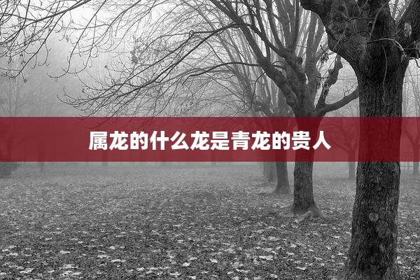 属龙的什么龙是青龙的贵人