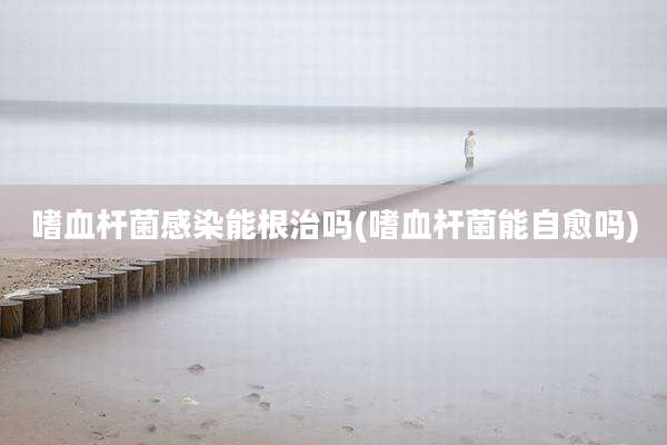 嗜血杆菌感染能根治吗(嗜血杆菌能自愈吗)