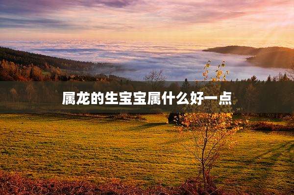 属龙的生宝宝属什么好一点