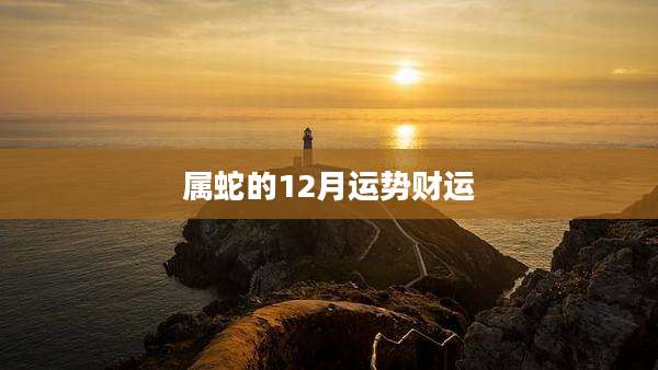 属蛇的12月运势财运