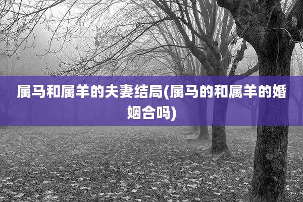 属马和属羊的夫妻结局(属马的和属羊的婚姻合吗)