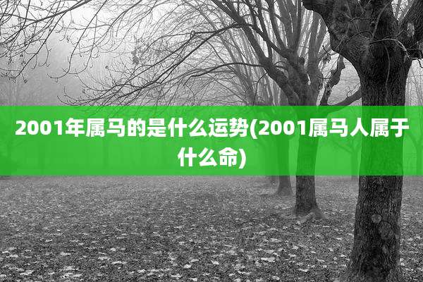 2001年属马的是什么运势(2001属马人属于什么命)
