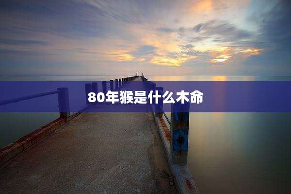 80年猴是什么木命