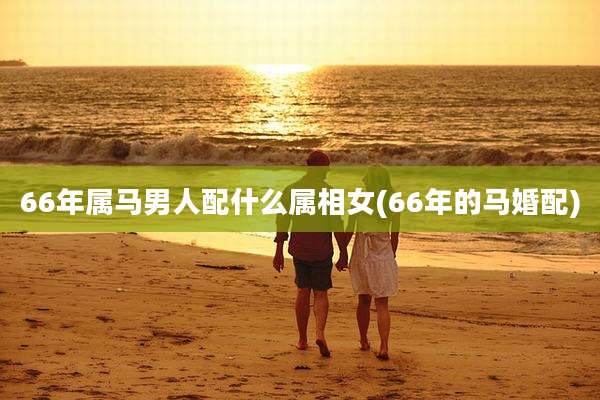 66年属马男人配什么属相女(66年的马婚配)