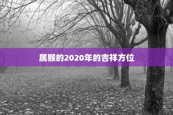 属猴的2020年的吉祥方位