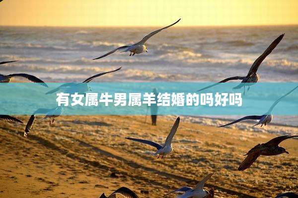 有女属牛男属羊结婚的吗好吗
