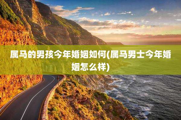 属马的男孩今年婚姻如何(属马男士今年婚姻怎么样)