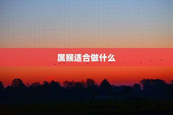 属猴适合做什么