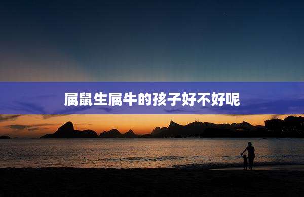 属鼠生属牛的孩子好不好呢