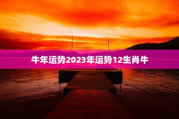 牛年运势2023年运势12生肖牛