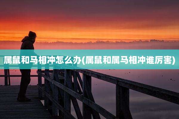属鼠和马相冲怎么办(属鼠和属马相冲谁厉害)