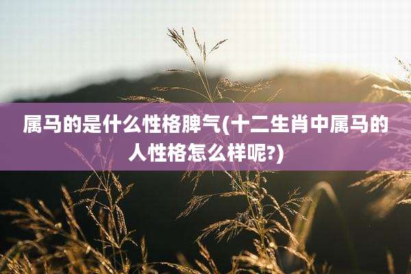 属马的是什么性格脾气(十二生肖中属马的人性格怎么样呢?)