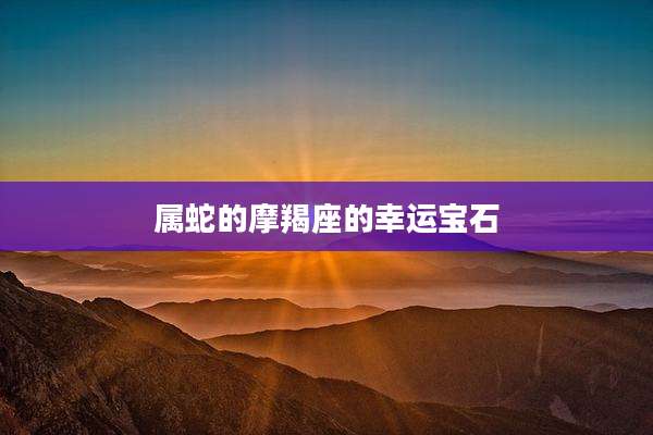 属蛇的摩羯座的幸运宝石