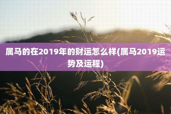 属马的在2019年的财运怎么样(属马2019运势及运程)