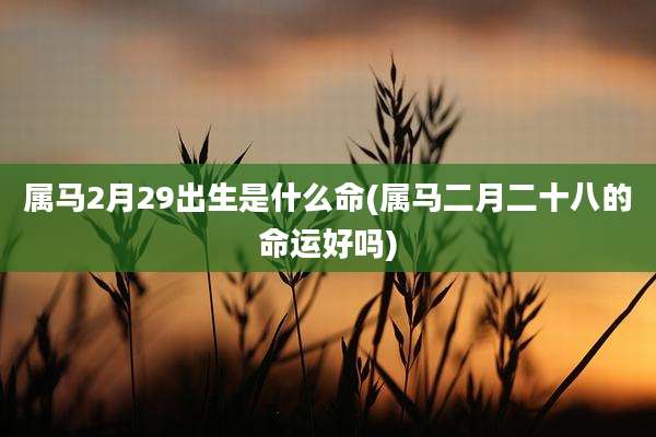 属马2月29出生是什么命(属马二月二十八的命运好吗)