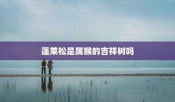 蓬莱松是属猴的吉祥树吗