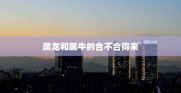 属龙和属牛的合不合得来