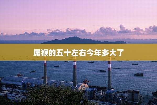 属猴的五十左右今年多大了