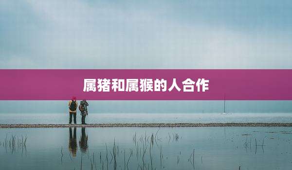 属猪和属猴的人合作