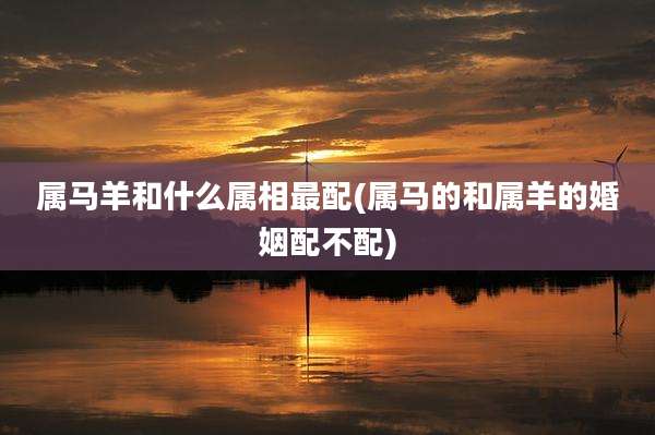 属马羊和什么属相最配(属马的和属羊的婚姻配不配)