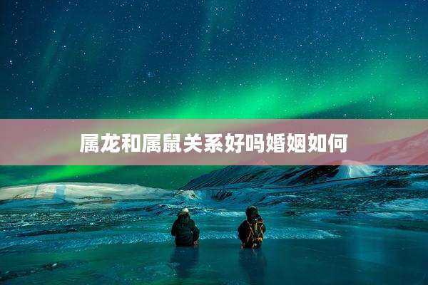 属龙和属鼠关系好吗婚姻如何