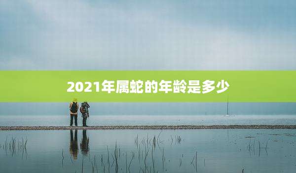 2021年属蛇的年龄是多少