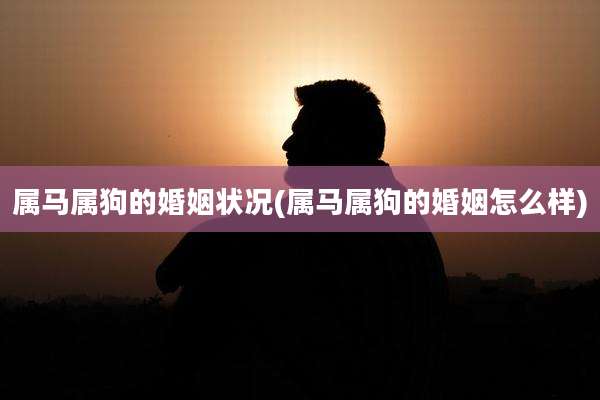 属马属狗的婚姻状况(属马属狗的婚姻怎么样)