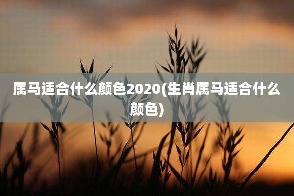 属马适合什么颜色2020(生肖属马适合什么颜色)