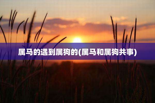 属马的遇到属狗的(属马和属狗共事)