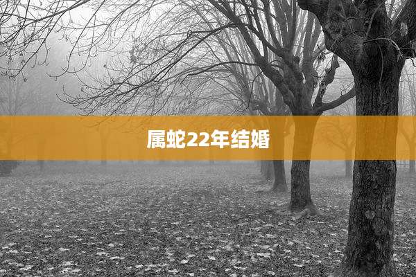 属蛇22年结婚