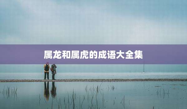 属龙和属虎的成语大全集
