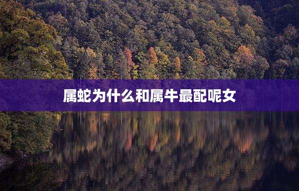 属蛇为什么和属牛最配呢女