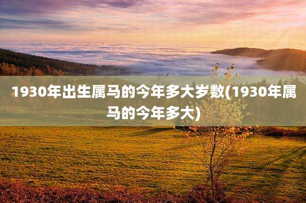 1930年出生属马的今年多大岁数(1930年属马的今年多大)