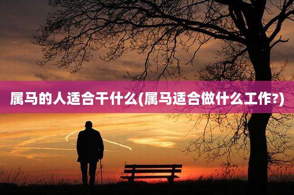 属马的人适合干什么(属马适合做什么工作?)