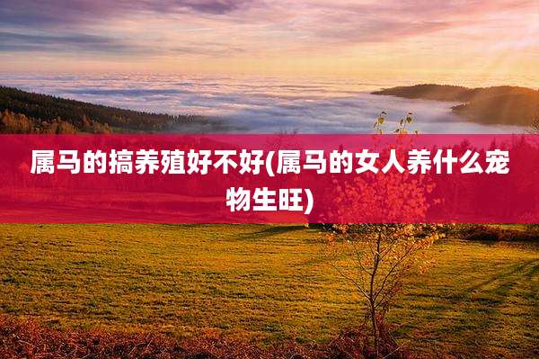 属马的搞养殖好不好(属马的女人养什么宠物生旺)