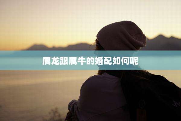 属龙跟属牛的婚配如何呢