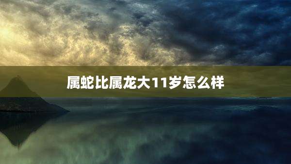 属蛇比属龙大11岁怎么样