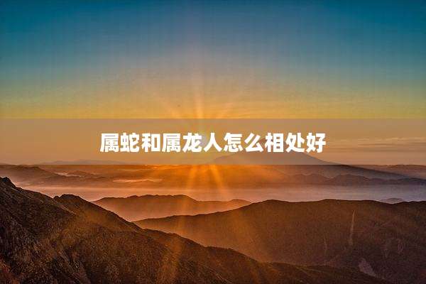 属蛇和属龙人怎么相处好