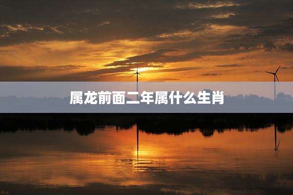 属龙前面二年属什么生肖