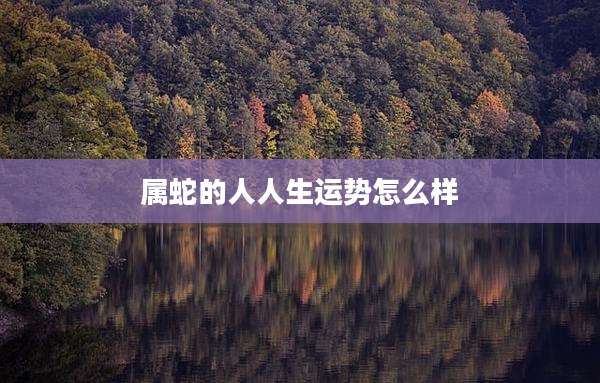 属蛇的人人生运势怎么样