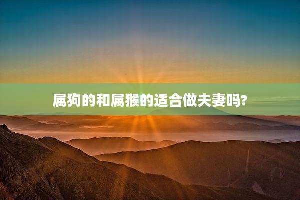 属狗的和属猴的适合做夫妻吗?