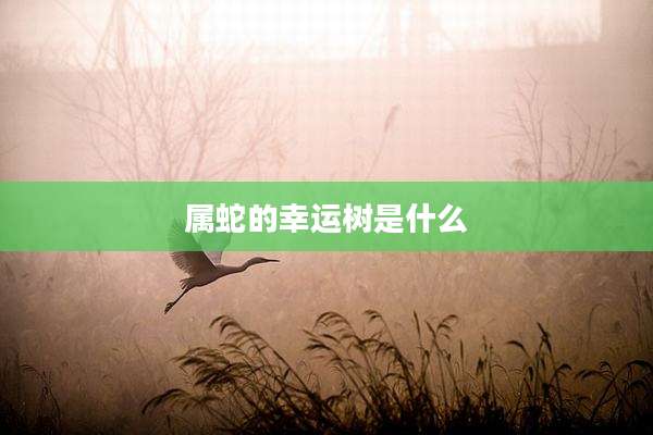 属蛇的幸运树是什么