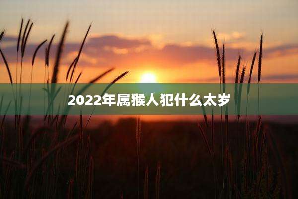 2022年属猴人犯什么太岁
