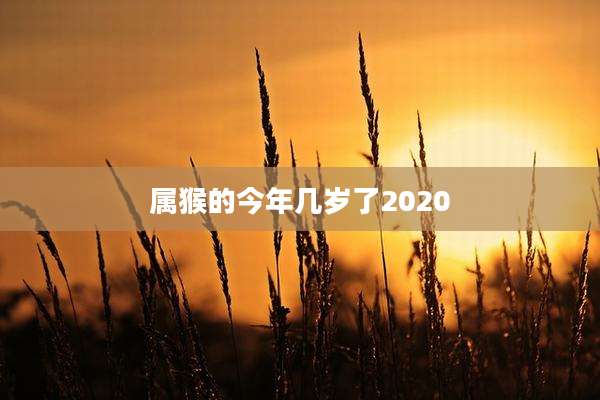 属猴的今年几岁了2020