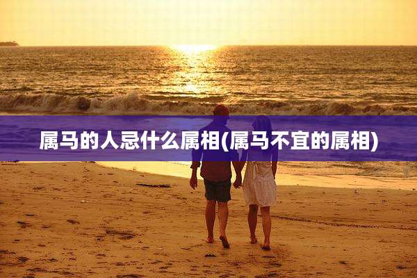 属马的人忌什么属相(属马不宜的属相)