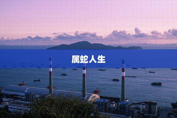 属蛇人生