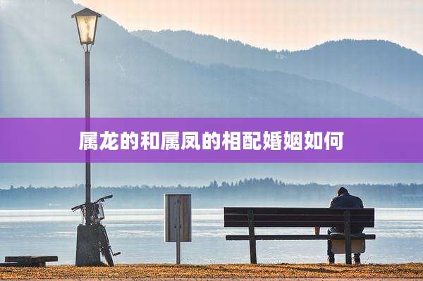 属龙的和属凤的相配婚姻如何