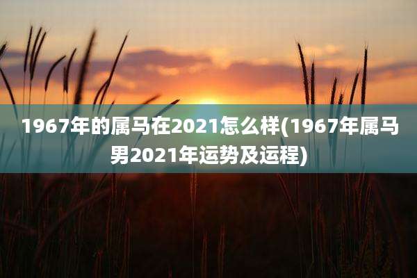 1967年的属马在2021怎么样(1967年属马男2021年运势及运程)